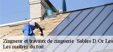 Zingueur et travaux de zinguerie   22240