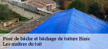 Pose de bâche et bâchage de toiture  22520