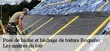 Pose de bâche et bâchage de toiture  22170