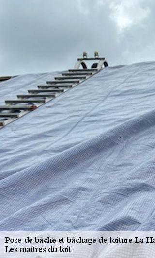 Pose de bâche et bâchage de toiture  22320