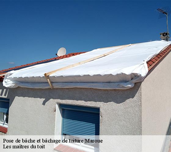 Pose de bâche et bâchage de toiture  22400