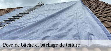 Pose de bâche et bâchage de toiture  22550
