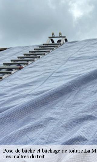Pose de bâche et bâchage de toiture 22440