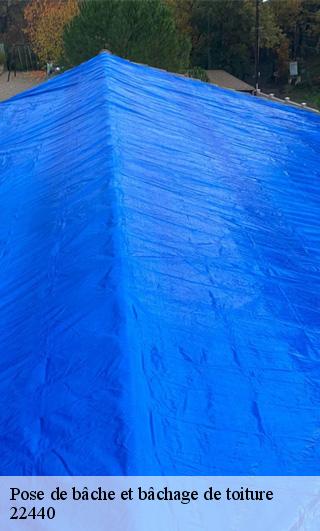 Pose de bâche et bâchage de toiture 22440