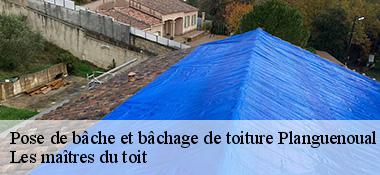 Pose de bâche et bâchage de toiture  22400