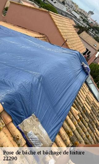 Pose de bâche et bâchage de toiture  22290