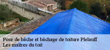 Pose de bâche et bâchage de toiture  22570