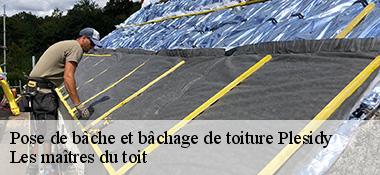 Pose de bâche et bâchage de toiture  22720