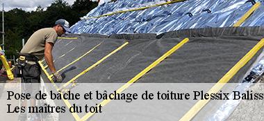 Pose de bâche et bâchage de toiture 22650