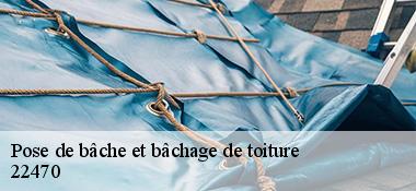 Pose de bâche et bâchage de toiture  22470