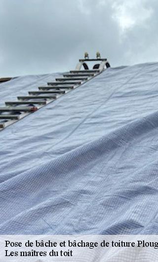 Pose de bâche et bâchage de toiture 22110