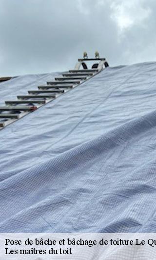 Pose de bâche et bâchage de toiture  22630