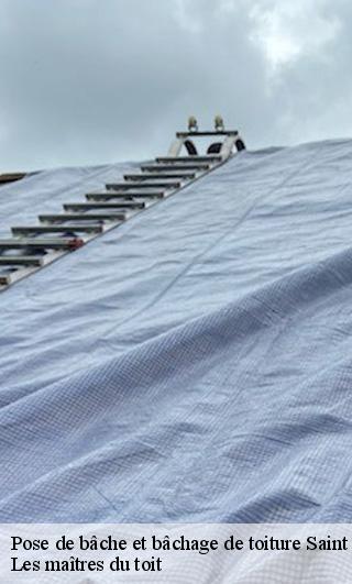 Pose de bâche et bâchage de toiture  22100