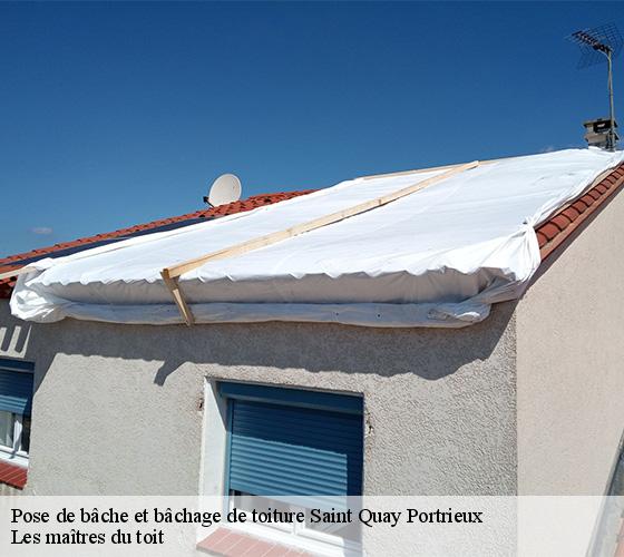 Pose de bâche et bâchage de toiture 22410