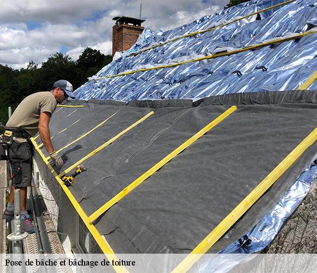 Pose de bâche et bâchage de toiture  22100