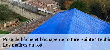 Pose de bâche et bâchage de toiture  22480