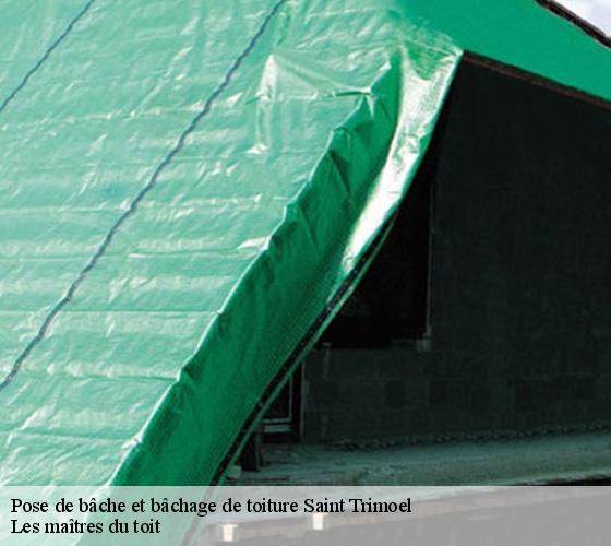 Pose de bâche et bâchage de toiture 22510