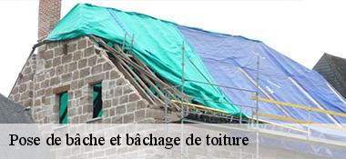 Pose de bâche et bâchage de toiture 22110