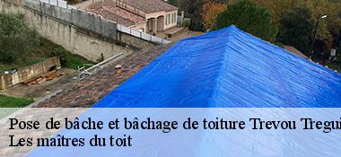 Pose de bâche et bâchage de toiture 22660