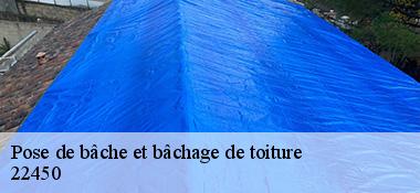 Pose de bâche et bâchage de toiture  22450