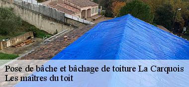 Pose de bâche et bâchage de toiture  22240