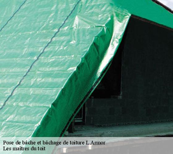 Pose de bâche et bâchage de toiture 22610