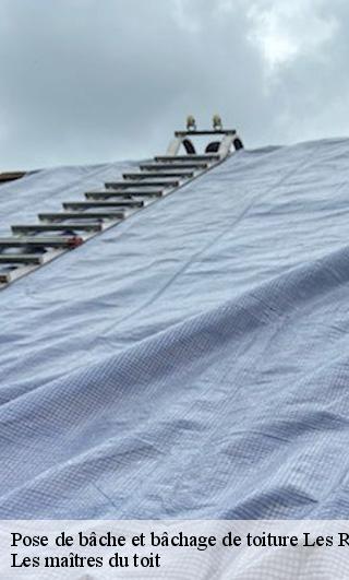 Pose de bâche et bâchage de toiture  22190