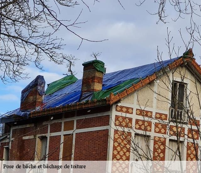 Pose de bâche et bâchage de toiture  22620