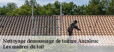 Nettoyage demoussage de toiture  22100