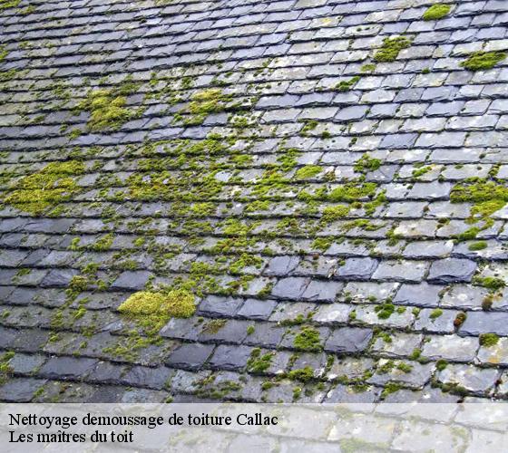 Nettoyage demoussage de toiture  22160