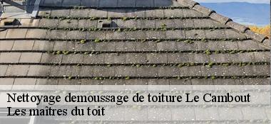 Nettoyage demoussage de toiture 22210