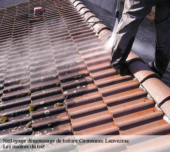 Nettoyage demoussage de toiture  22300