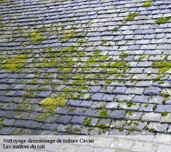 Nettoyage demoussage de toiture  22140