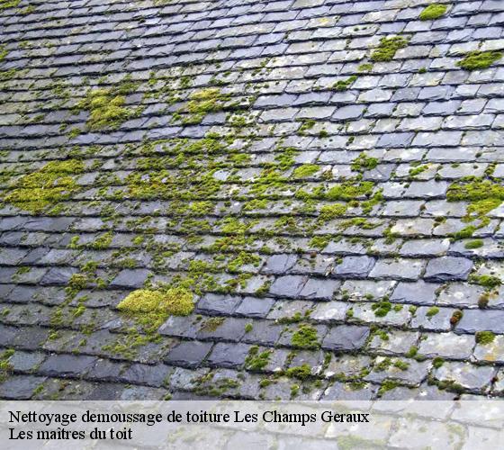 Nettoyage demoussage de toiture 22630