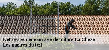Nettoyage demoussage de toiture  22210