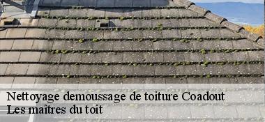 Nettoyage demoussage de toiture 22970