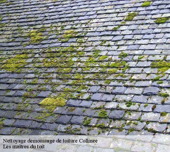 Nettoyage demoussage de toiture 22330