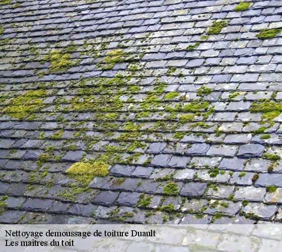 Nettoyage demoussage de toiture 22160