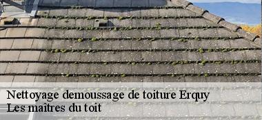 Nettoyage demoussage de toiture 22430