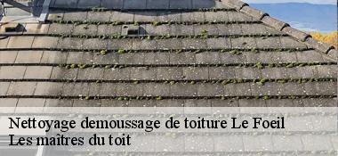Nettoyage demoussage de toiture 22800