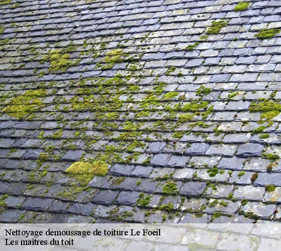 Nettoyage demoussage de toiture 22800