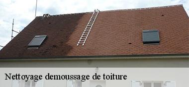 Nettoyage demoussage de toiture  22230