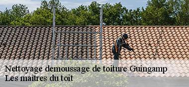 Nettoyage demoussage de toiture  22200