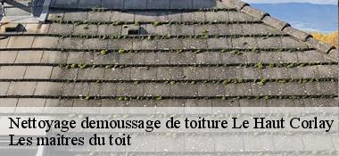 Nettoyage demoussage de toiture  22320