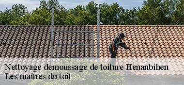 Nettoyage demoussage de toiture  22550
