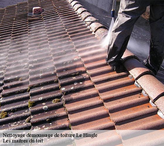 Nettoyage demoussage de toiture  22100