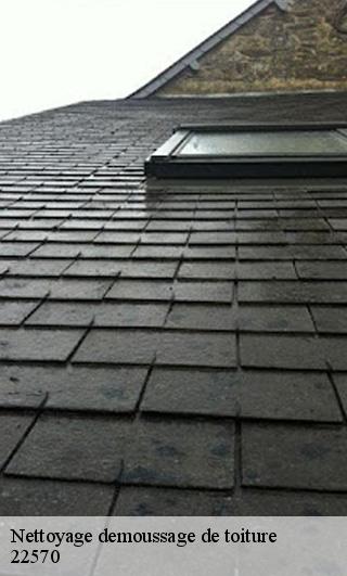 Nettoyage demoussage de toiture 22570