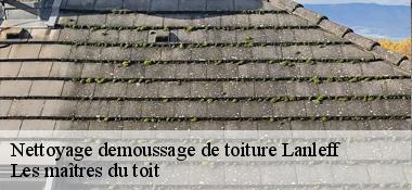 Nettoyage demoussage de toiture  22290