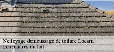 Nettoyage demoussage de toiture  22340