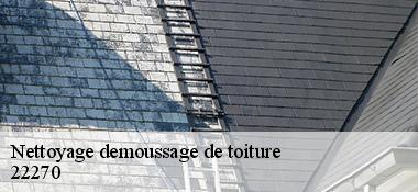 Nettoyage demoussage de toiture  22270